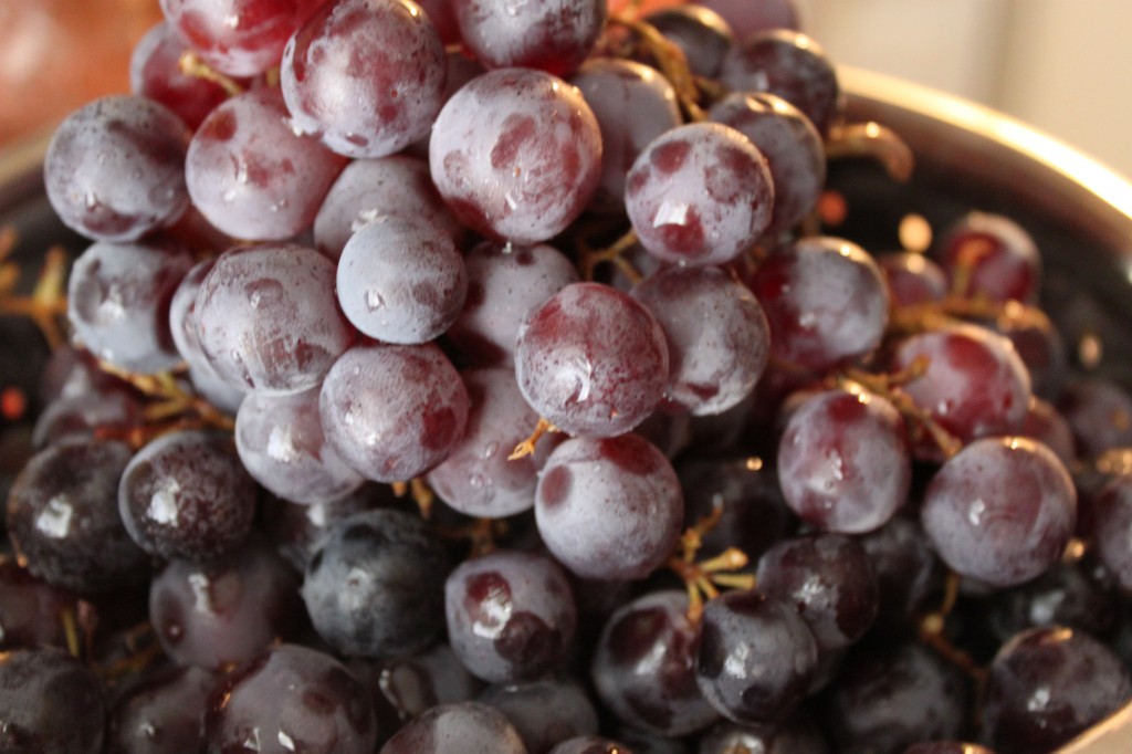 Concord Grape Jam_Grapes