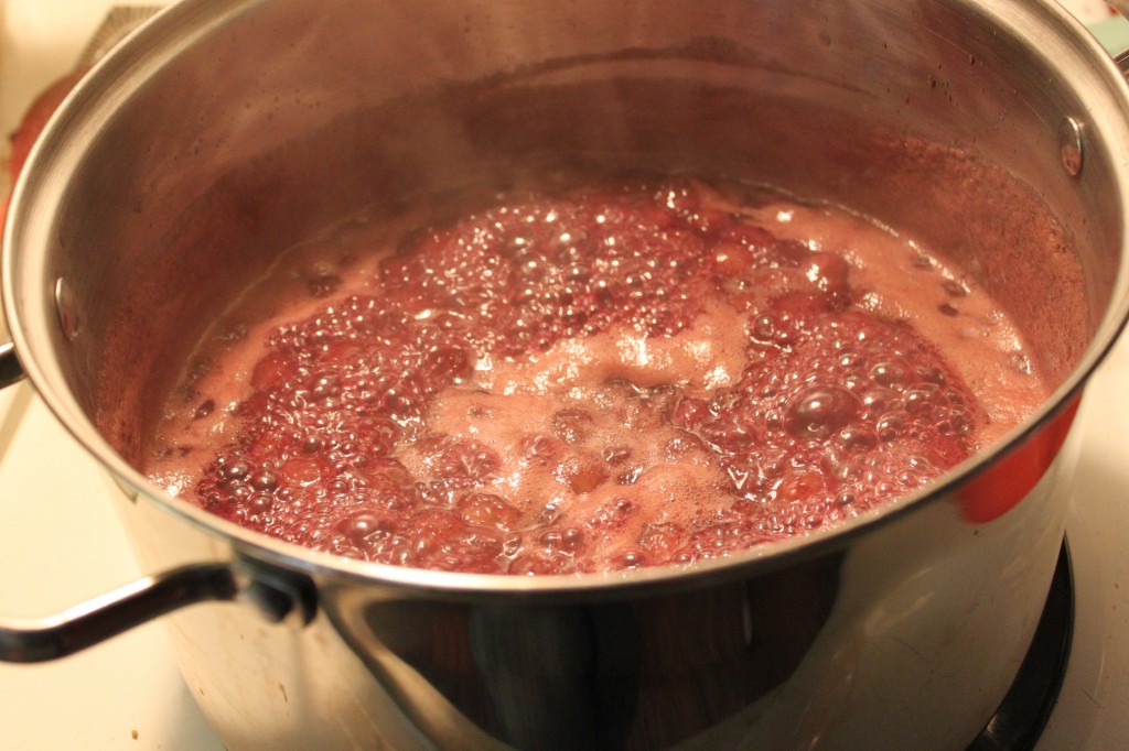 Concord Grape Jam_Boiling