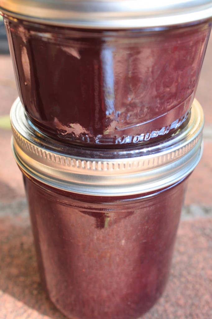 Concord Grape Jam_Finished