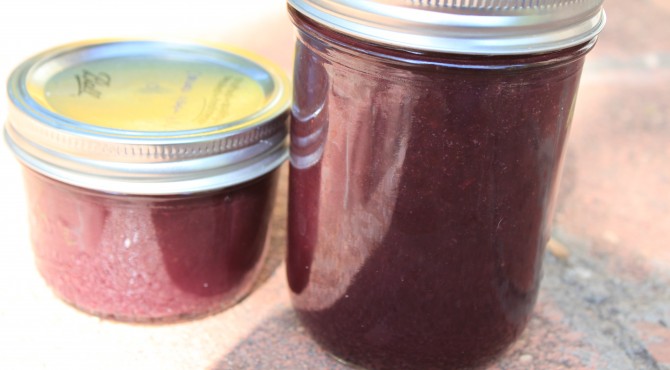 Concord Grape Jam_Jars