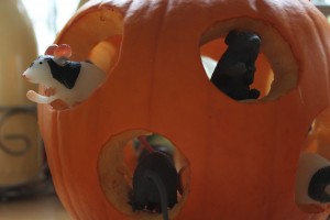 mice_pumpkin_2