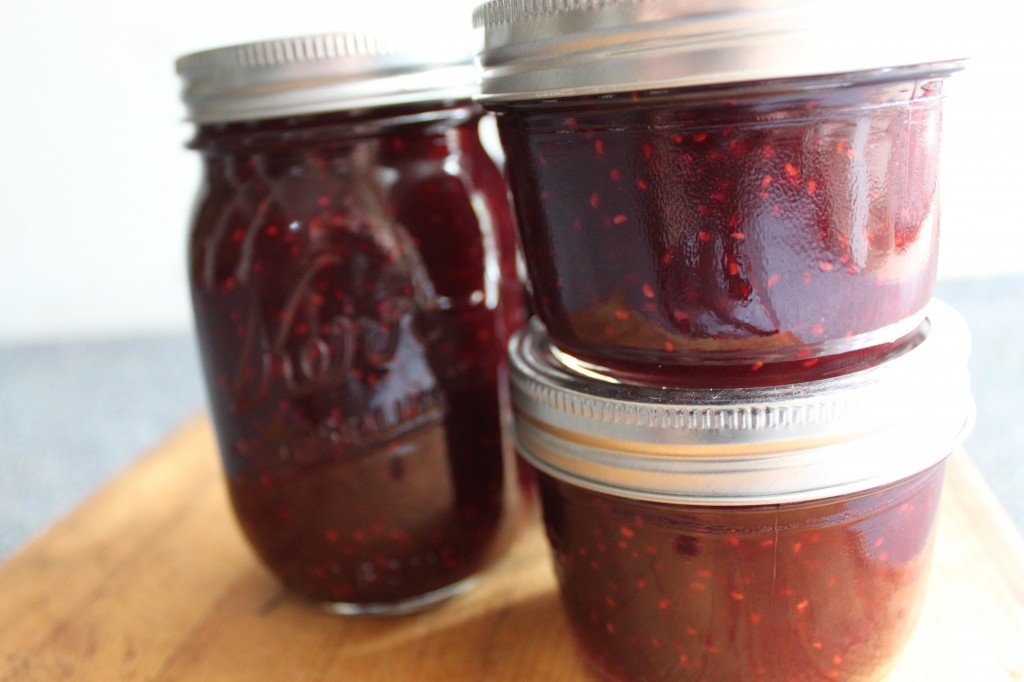 chocolate_raspberry_jam_yum